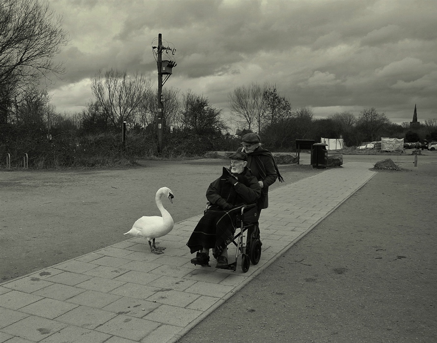 Фото жизнь