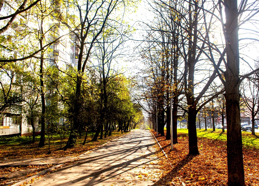 Фото жизнь