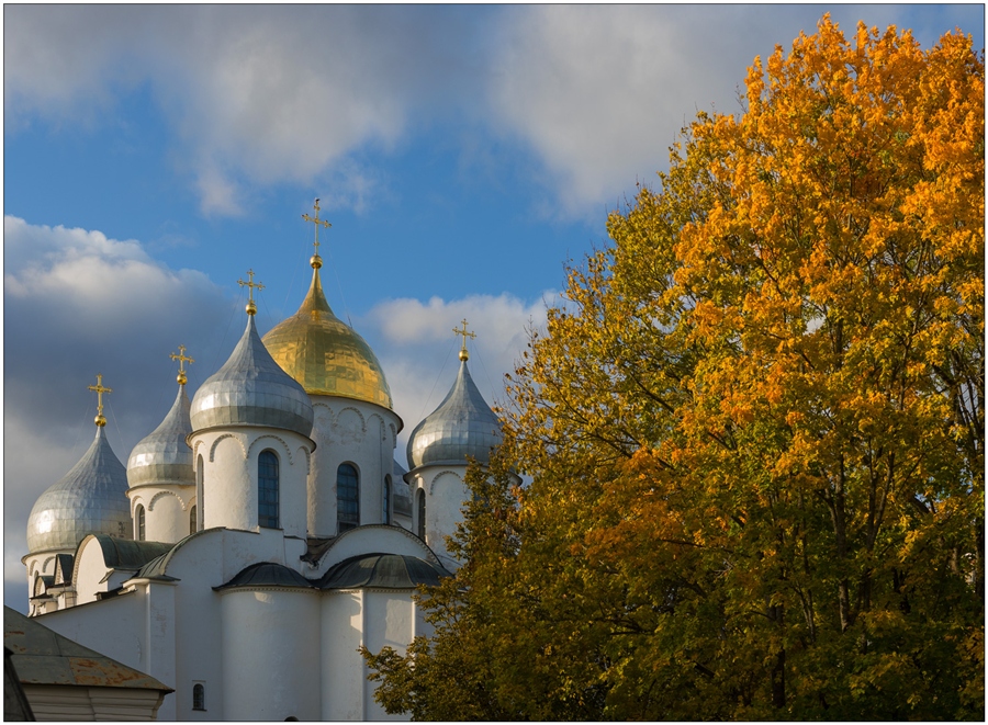 Фото жизнь