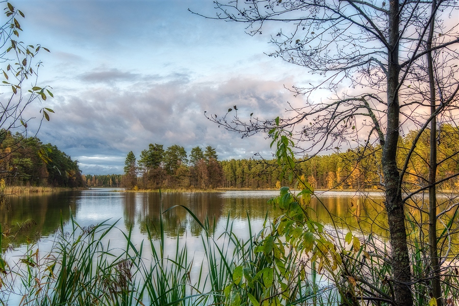 Осенний вечер