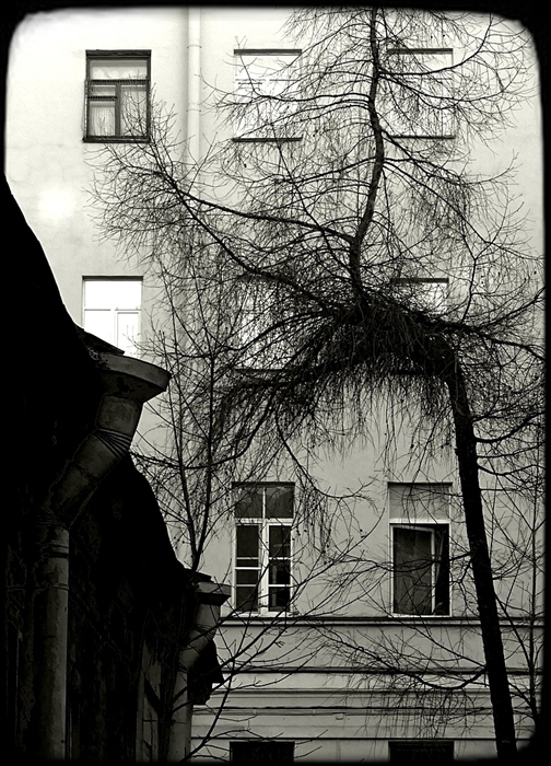 Фото жизнь