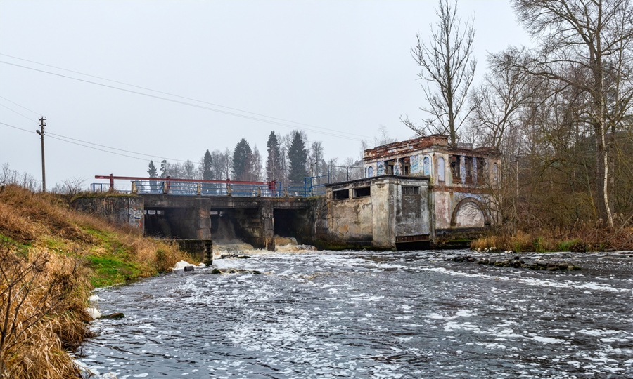 Фото жизнь