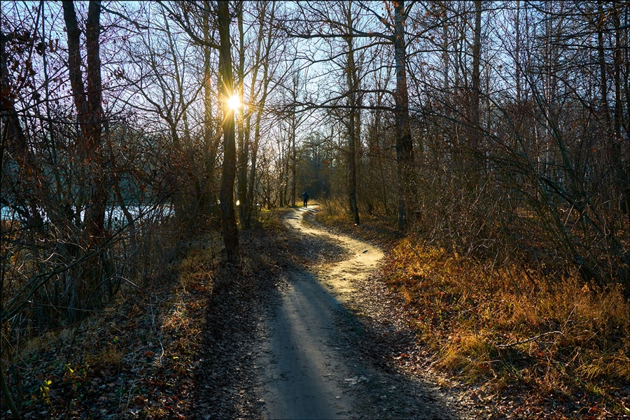 Фото жизнь