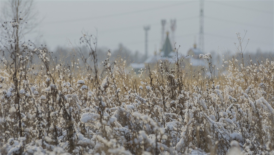 Фото жизнь