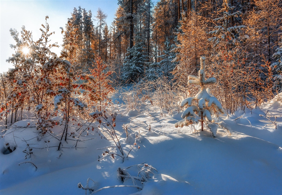 Фото жизнь