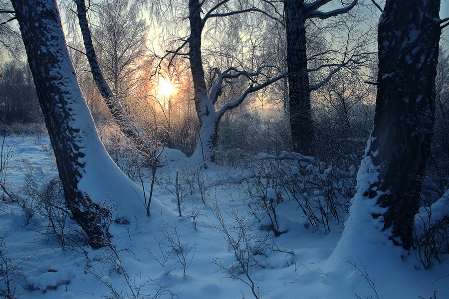 Фото жизнь