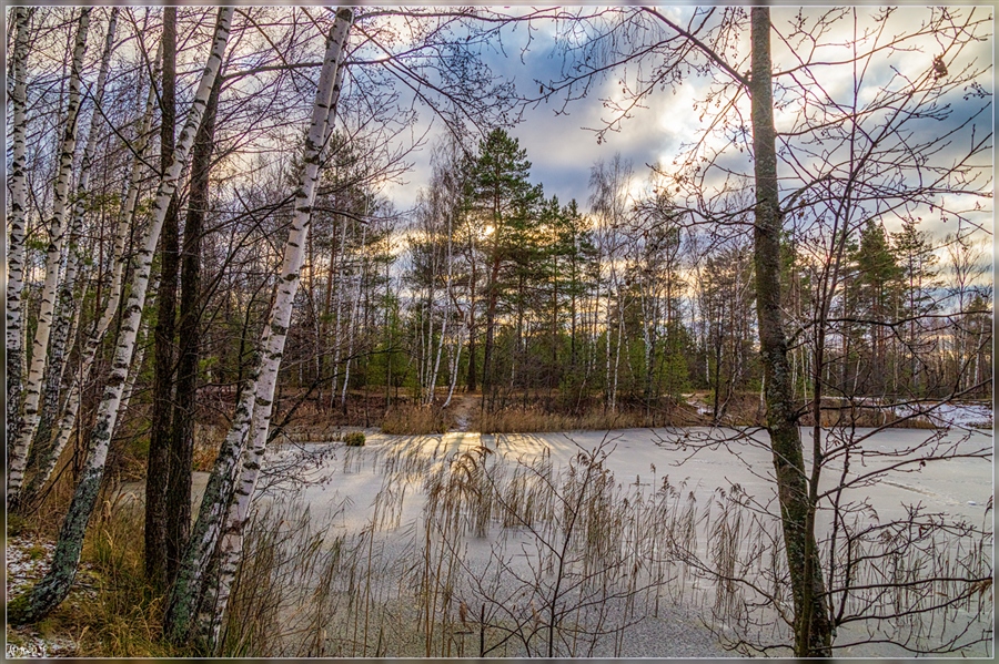 Фото жизнь