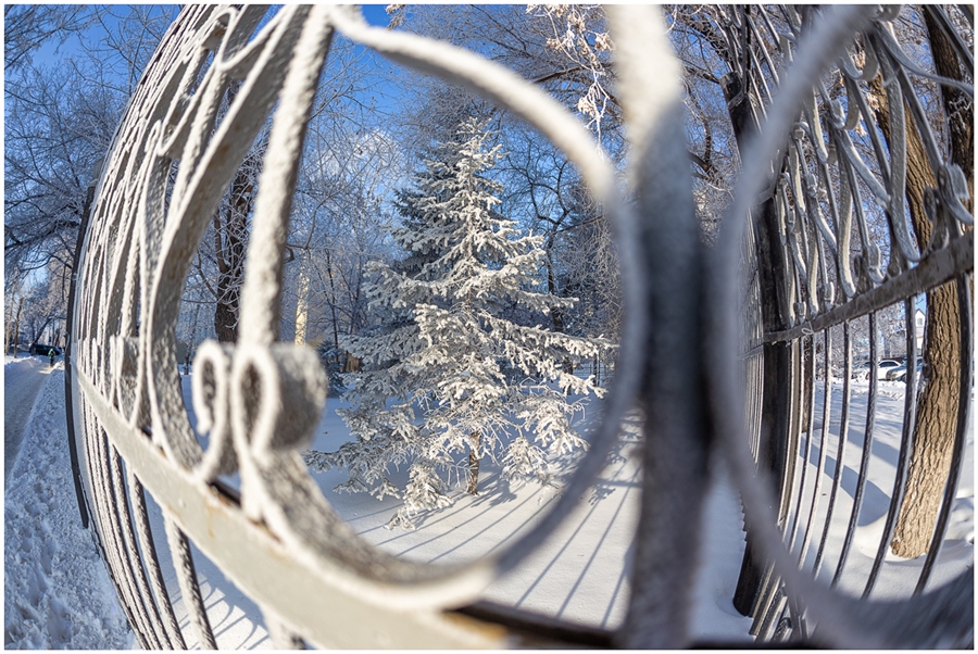 Фото жизнь