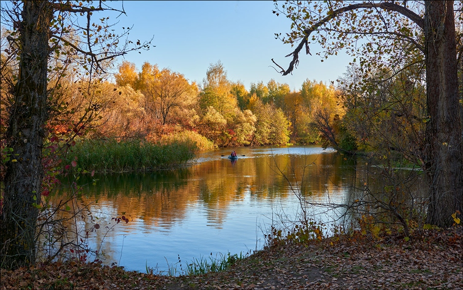 Фото жизнь