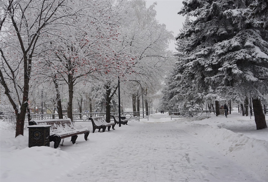 Фото жизнь