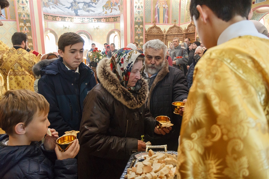 Фото жизнь