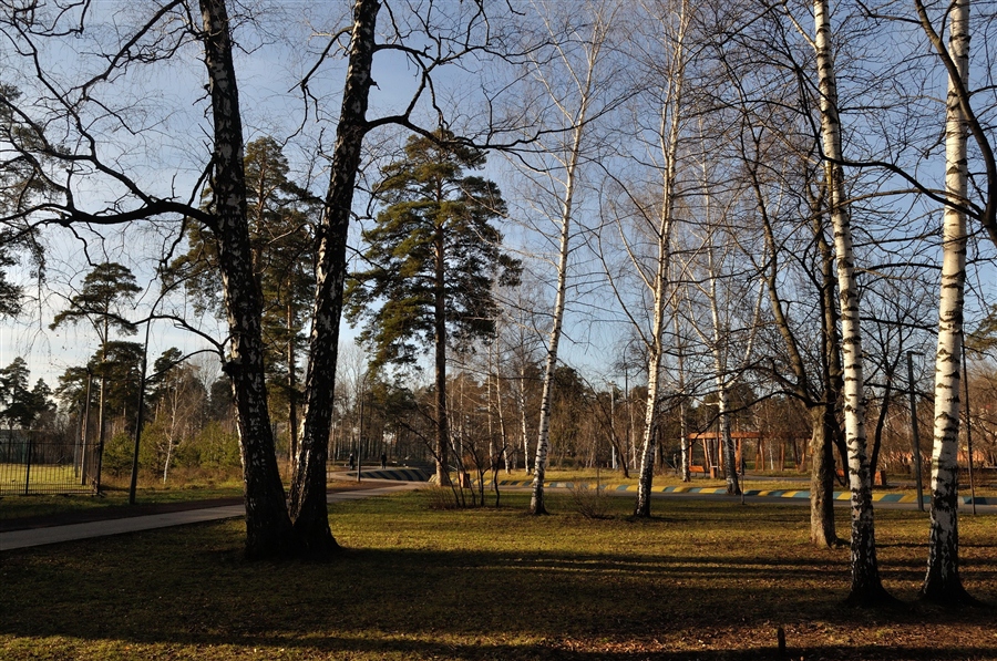 Фото жизнь
