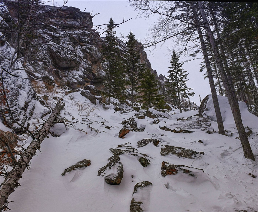 Фото жизнь