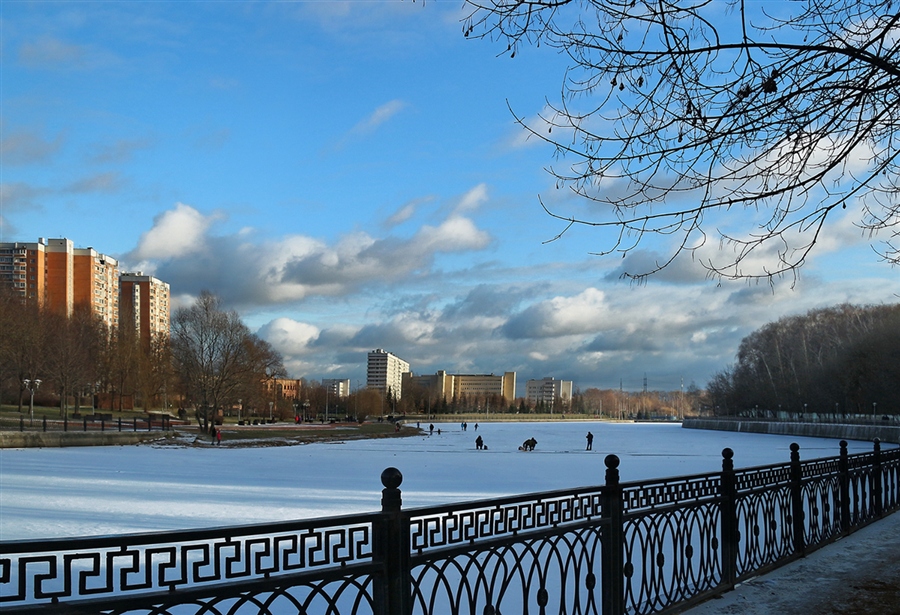 Фото жизнь