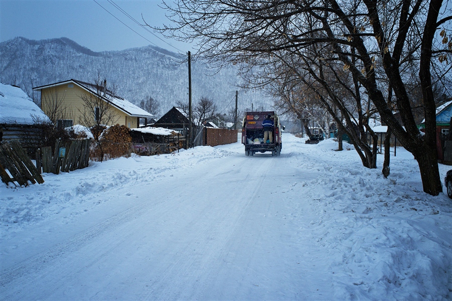 Фото жизнь