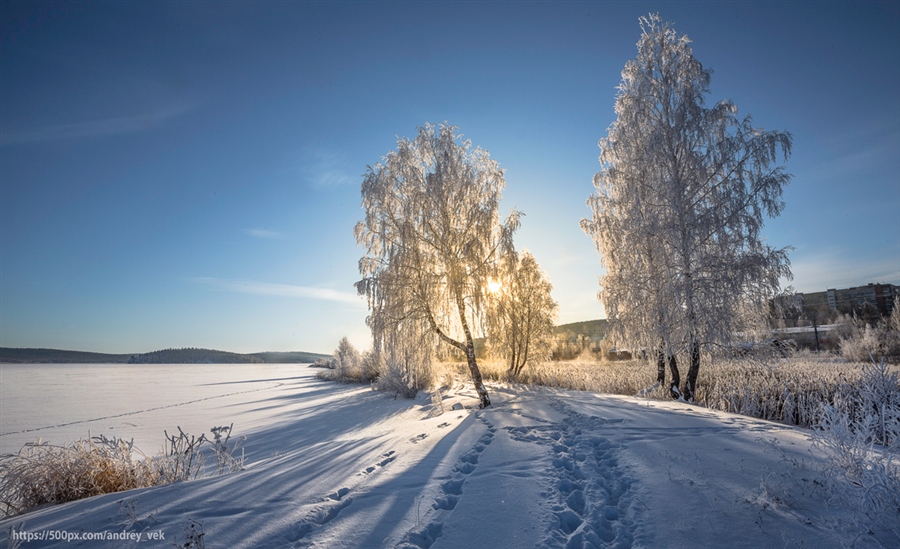 Фото жизнь