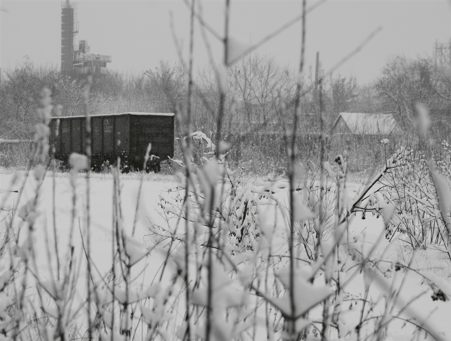 Фото жизнь