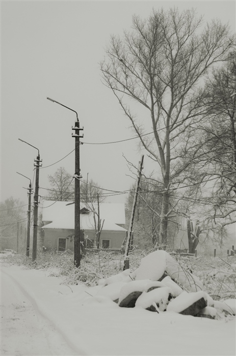 Фото жизнь