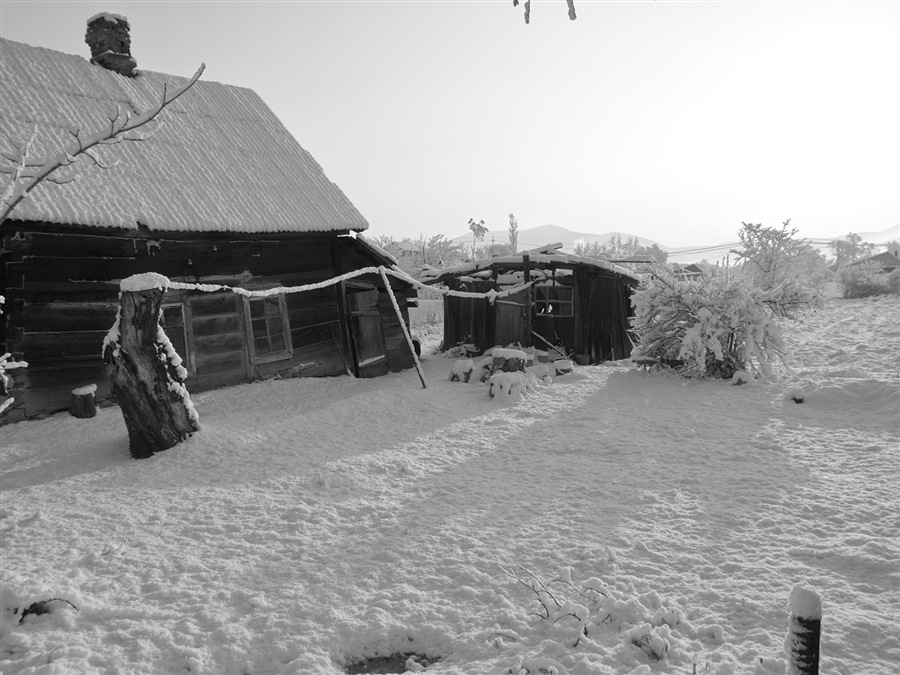 Фото жизнь