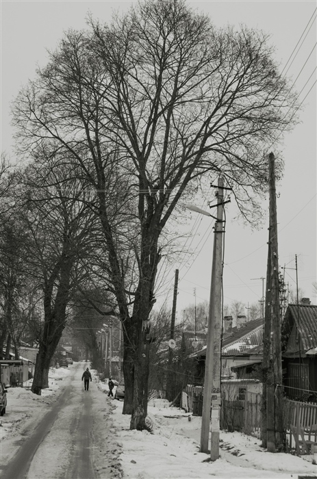 Фото жизнь
