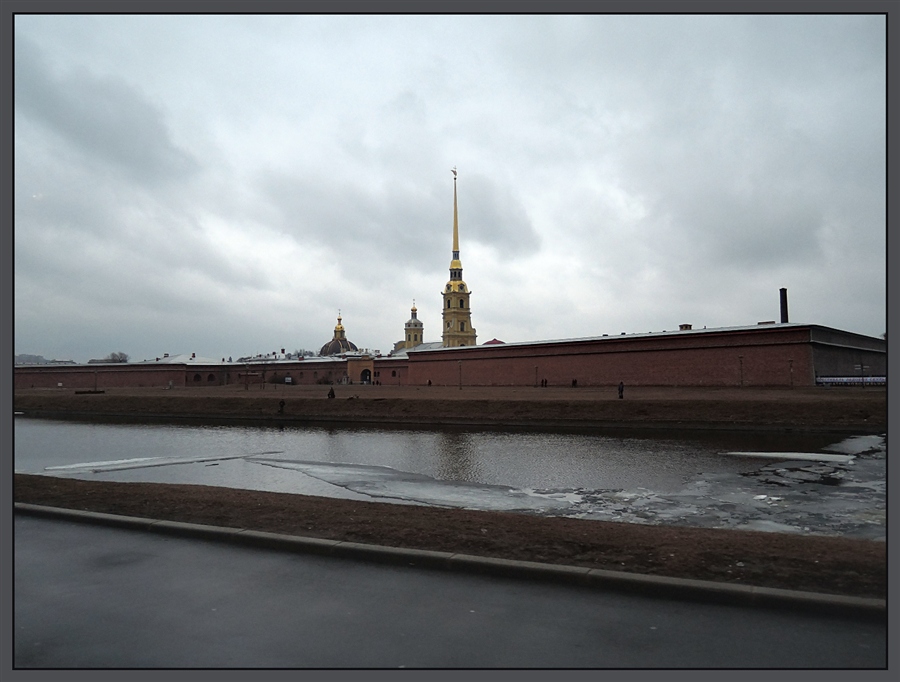 Фото жизнь