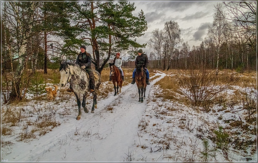 Фото жизнь