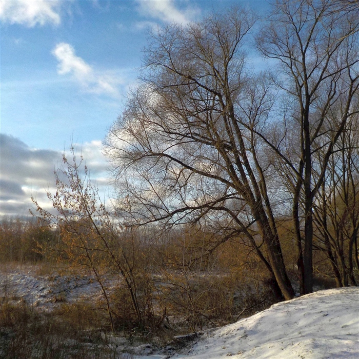 Фото жизнь