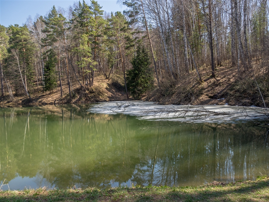 Фото жизнь