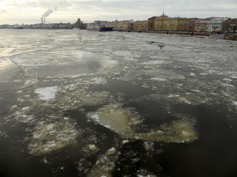 Фото жизнь