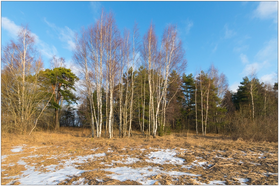 Фото жизнь