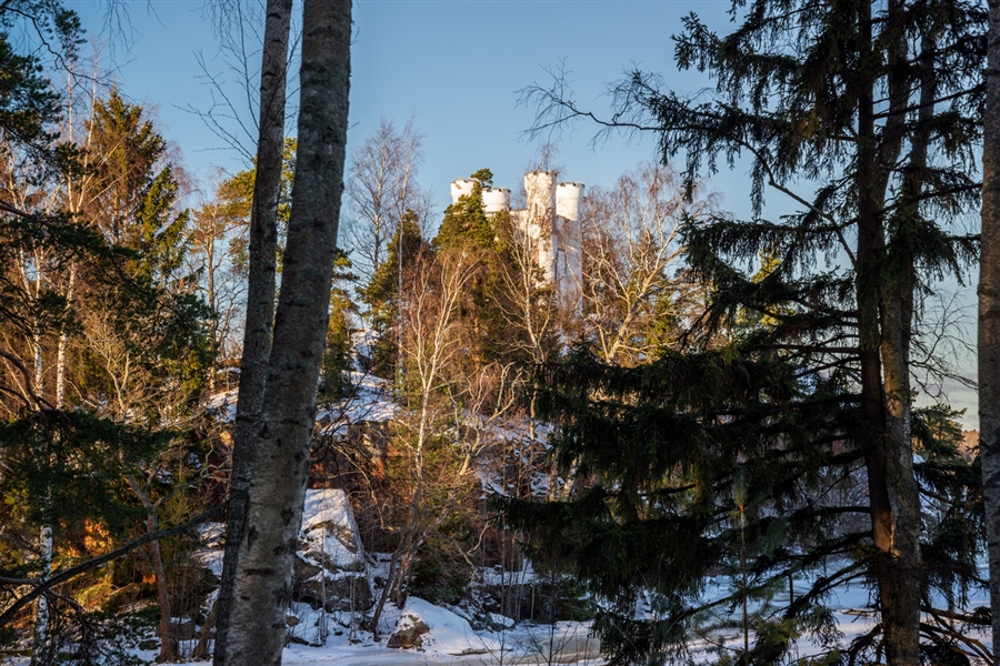 Фото жизнь