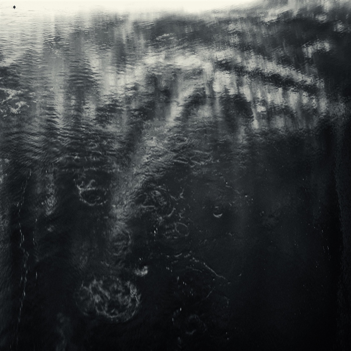 Фото жизнь (light) - alextich (Александр Тихоныч) - Водный мир - Водный мир. Раннее утро вторника...