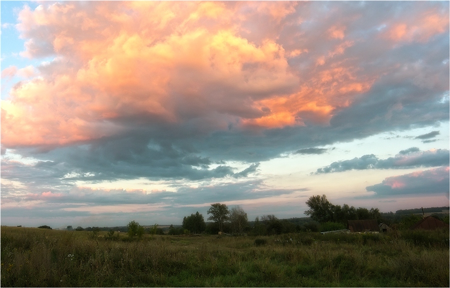 Фото жизнь