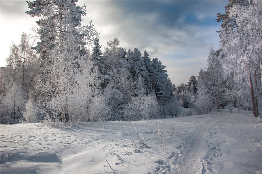 Фото жизнь