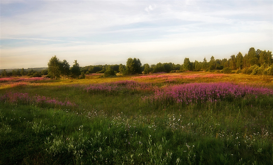 Фото жизнь