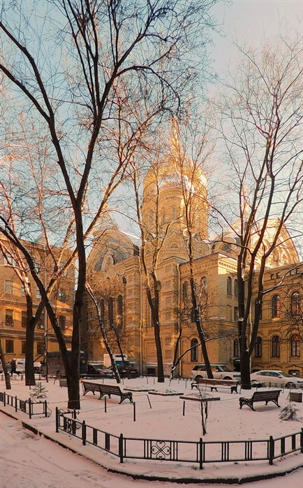 Фото жизнь