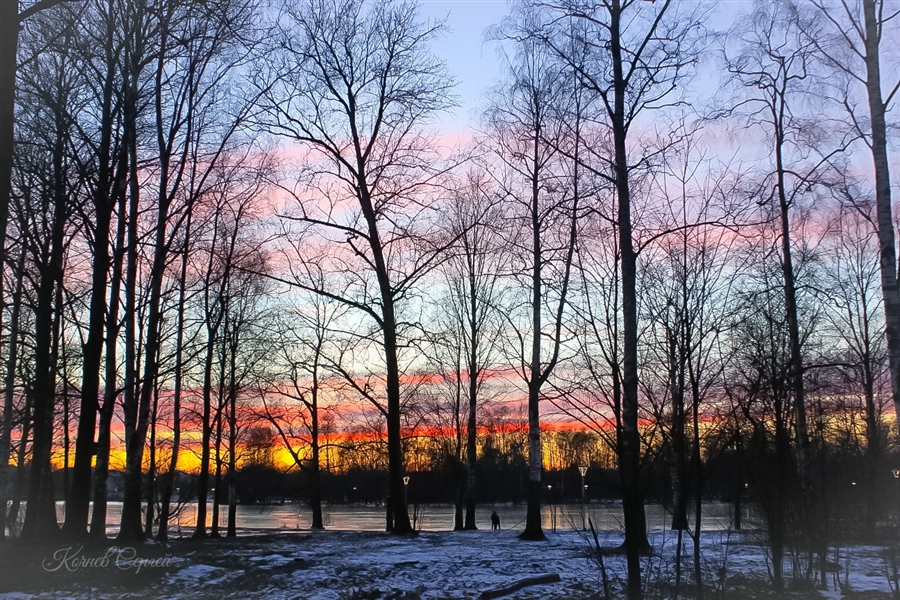 Фото жизнь