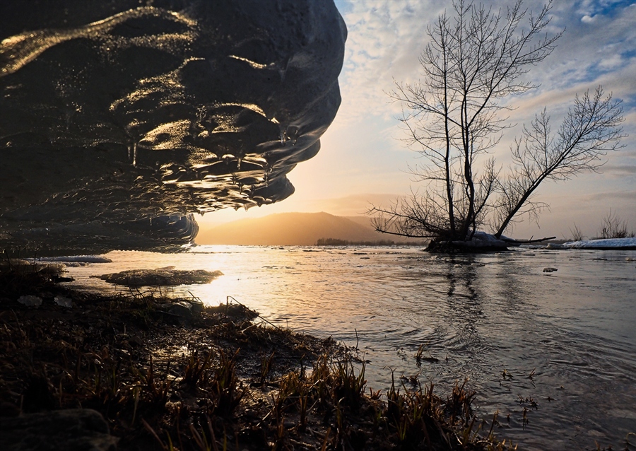 Фото жизнь
