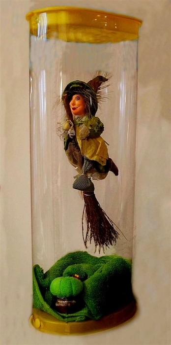 Фото жизнь (light) - Попов Олег - корневой каталог - Баба Яга на карантине