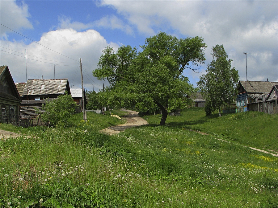 Фото жизнь
