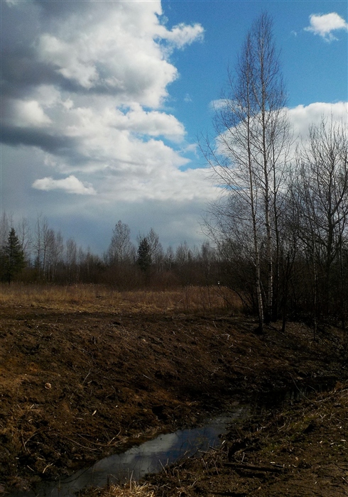 Фото жизнь