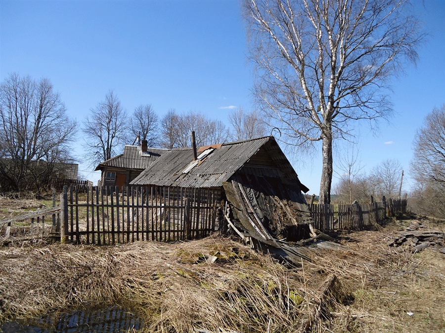 Фото жизнь