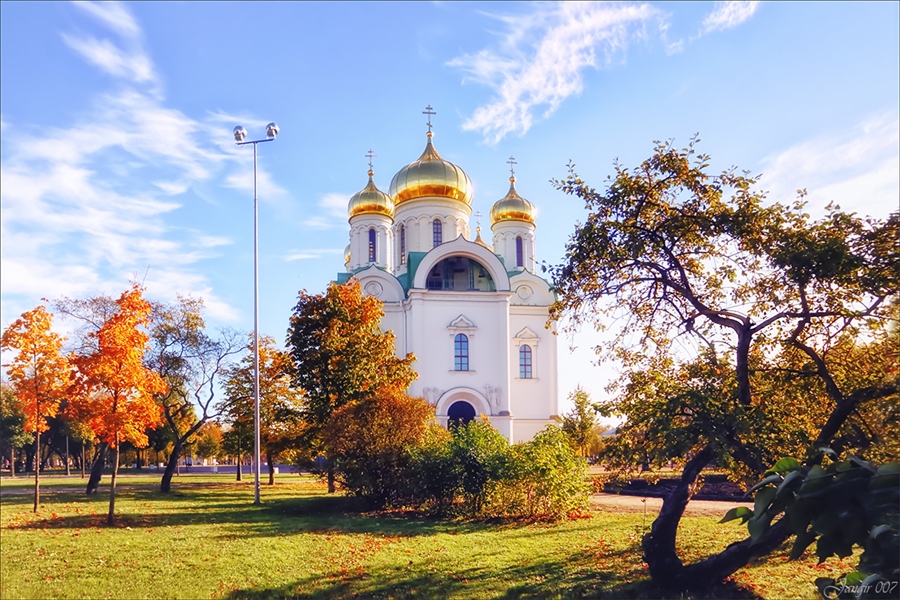Фото жизнь