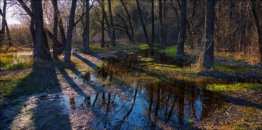 Фото жизнь