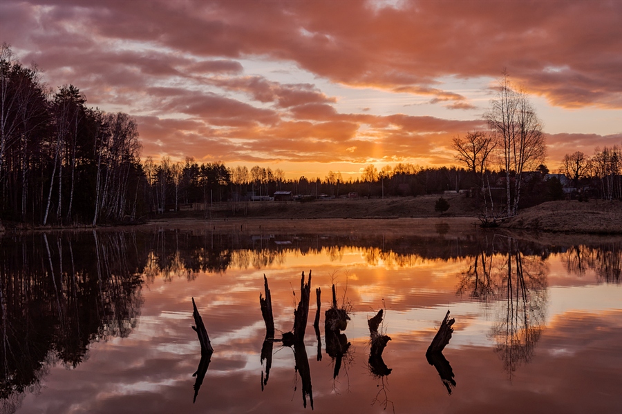 Фото жизнь