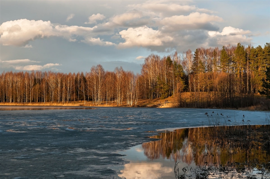 Фото жизнь