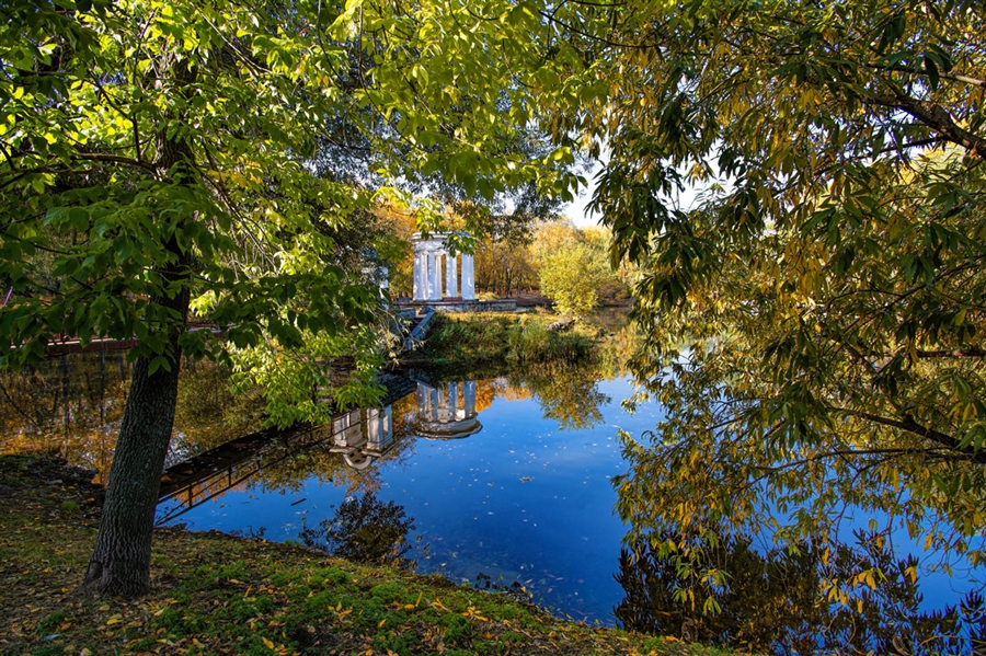 Фото жизнь