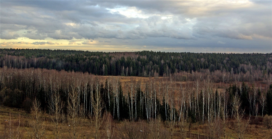 Фото жизнь