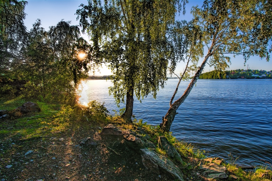 Фото жизнь