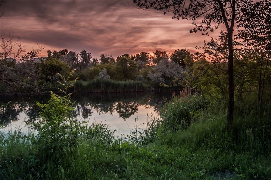 Фото жизнь